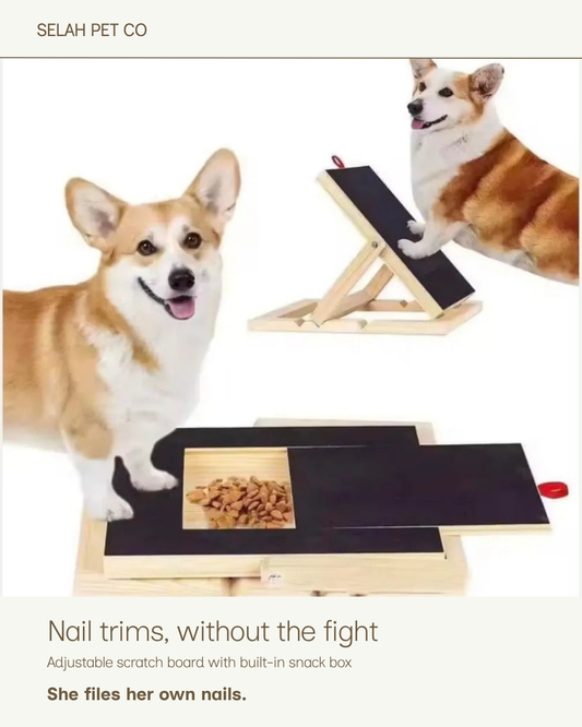 Selah Scratch Board — nail trims without the fight. Adjustable dog nail scratch board with built-in snack box.