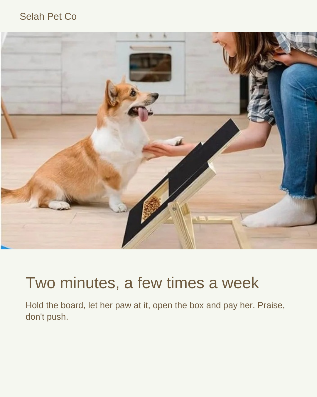 Dog scratching the inclined Selah Scratch Board while her owner holds a treat — two minutes, a few times a week