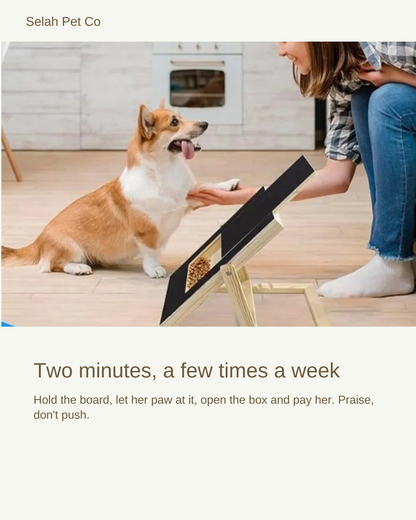 Dog scratching the inclined Selah Scratch Board while her owner holds a treat — two minutes, a few times a week