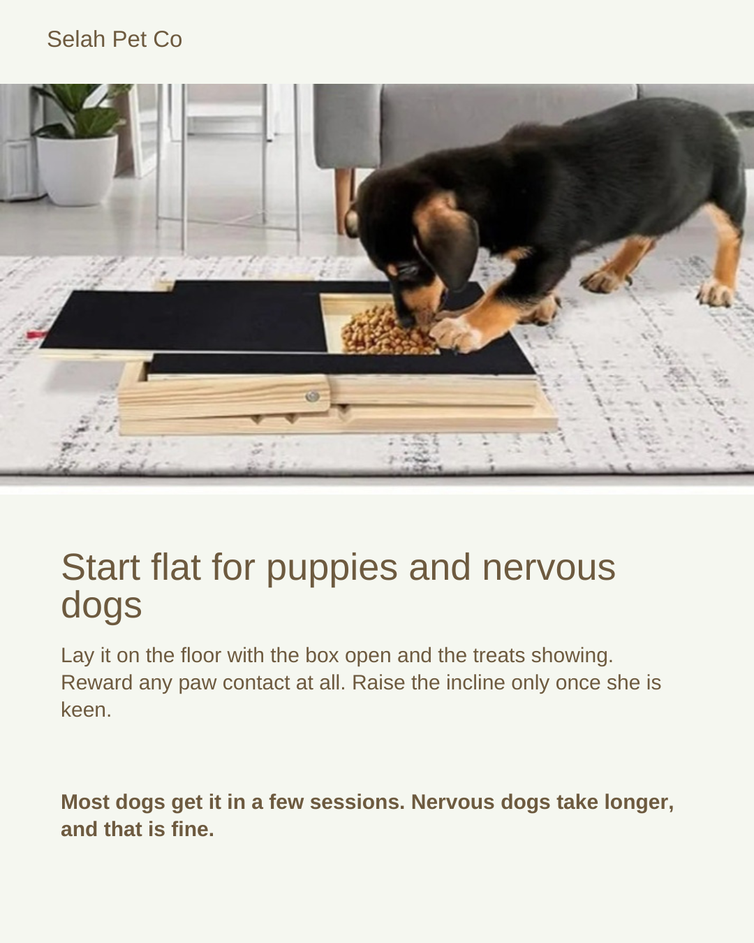Puppy using the Selah Scratch Board flat on a rug — start flat for puppies and nervous dogs