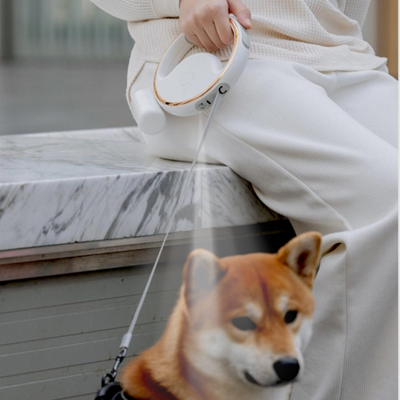 EcoTrail leash LED light feature for night walks