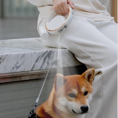 EcoTrail leash LED light feature for night walks